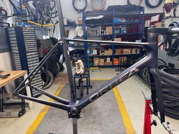Used Orbea ORCA OMX 2025 Frameset 2025 Road & Gravel