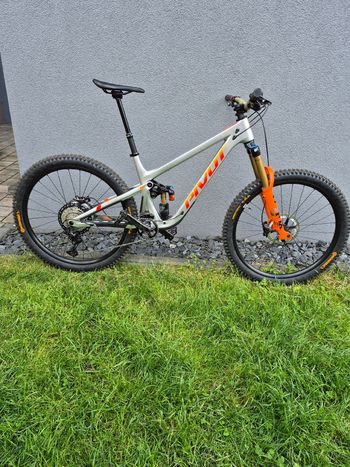 Pivot, FIREBIRD Ride SLX/XT 2024
