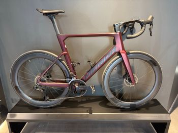 Merida, REACTO 6000 2026