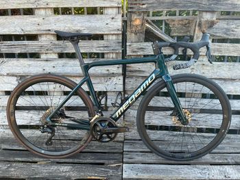 Megamo, PULSE ELITE 15 SH12 2023