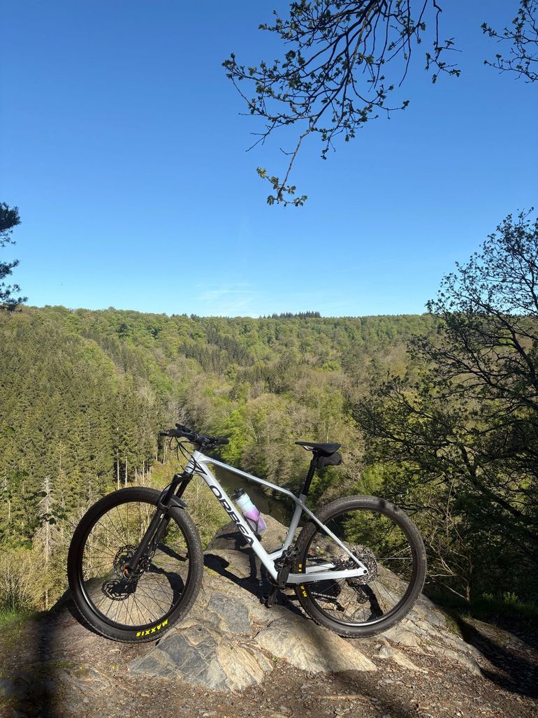 Used Orbea ALMA H30 2026 2026 Mountainbike, Light Gray, 29 — image 3 of 3