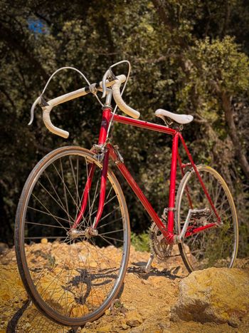 Used Vitus 999 Simplex Vintage 1981 Racefiets & gravel