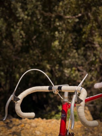 Used Vitus 999 Simplex Vintage 1981 Road & Gravel — image 4 of 8