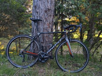 Ghost, Nivolet Shimano Ultegra