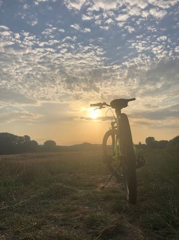 Used ROCKRIDER Semi-Rigid Microshift 2018 Mountainbike, Black — image 9 of 10