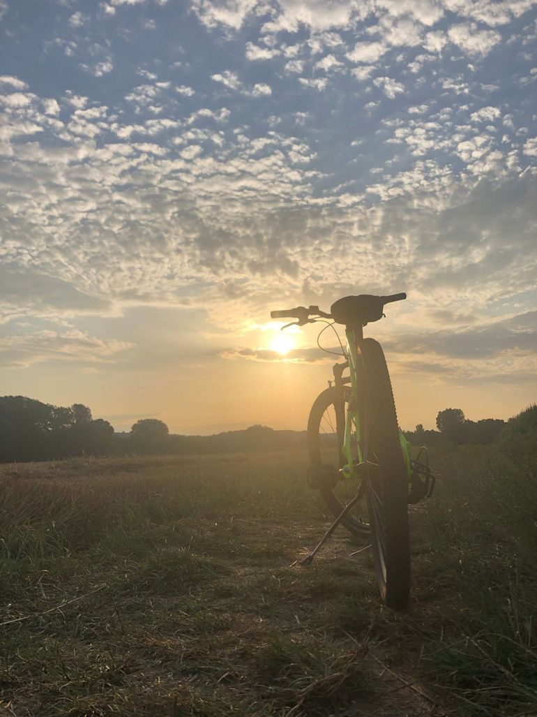 Used ROCKRIDER Semi-Rigid Microshift 2018 Mountainbike, Black — image 9 of 10