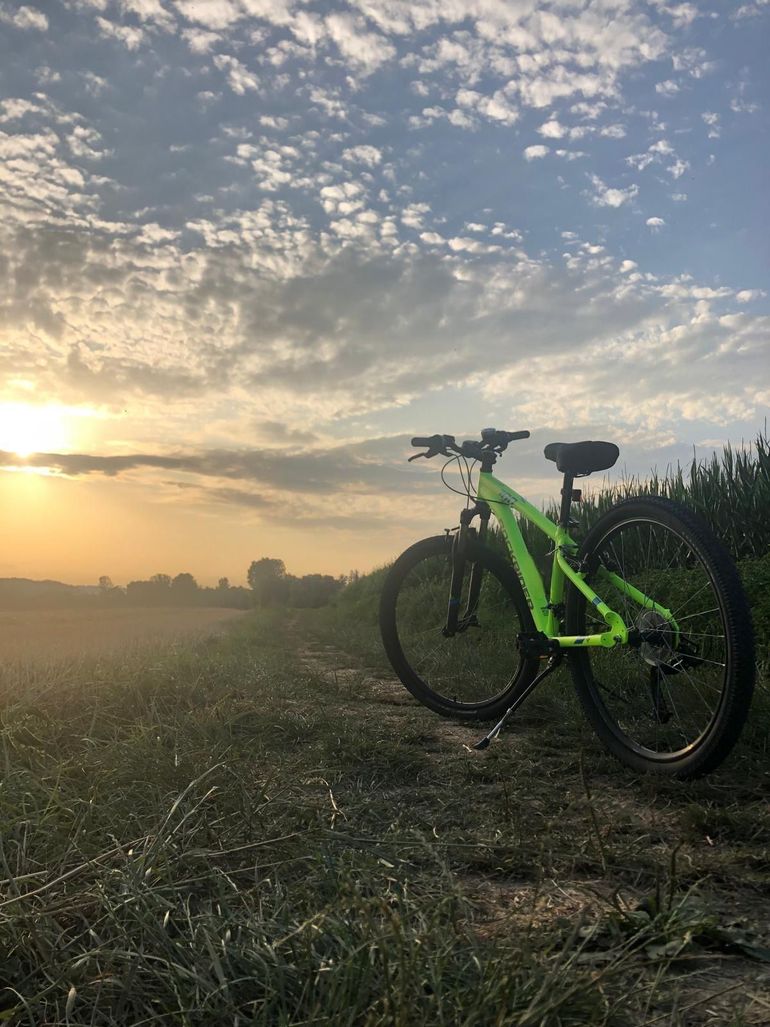Used ROCKRIDER Semi-Rigid Microshift 2018 Mountainbike, Black — image 10 of 10