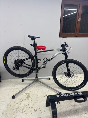 Used Cannondale Ht Carbon 1 2024 Mountainbike, Light Gray — image 4 of 8