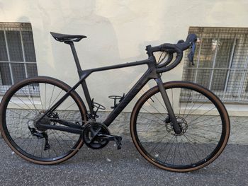 Canyon, Endurace CF 7 2022
