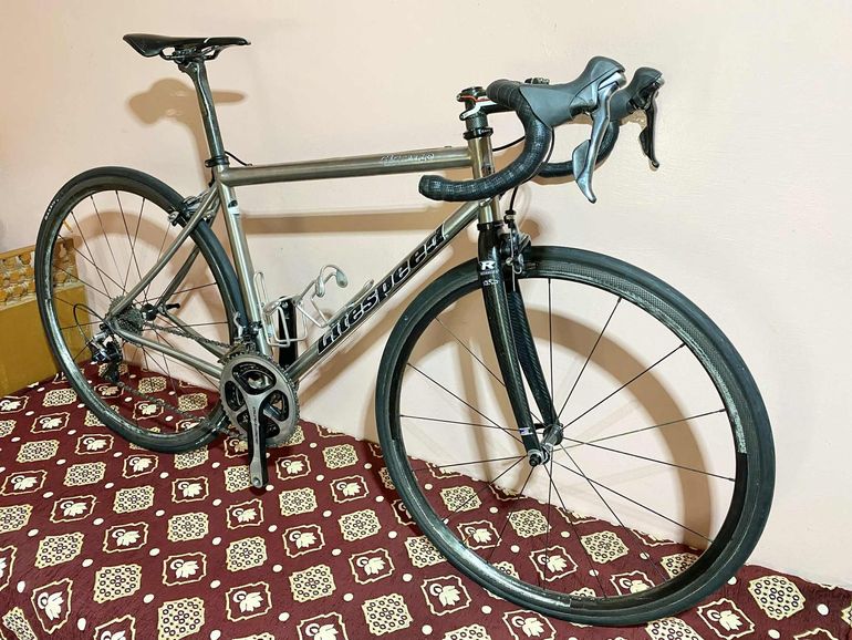 Used Litespeed Ghisallo Frameset 2006 Road & Gravel, Light Gray — image 3 of 7