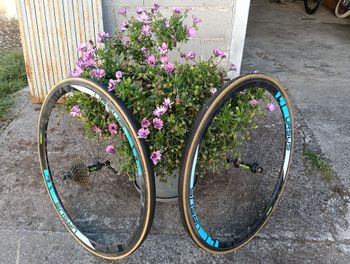 Used Dynatek Dynatek Corsa Sl Cambio Durace Elettronico D1 2022 Road & Gravel, Blue — image 3 of 4