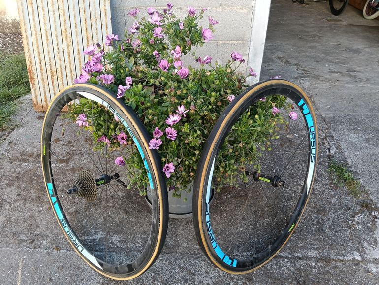 Used Dynatek Dynatek Corsa Sl Cambio Durace Elettronico D1 2022 Road & Gravel, Blue — image 3 of 4