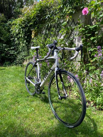 Trek, Domane Shimano Ultegra