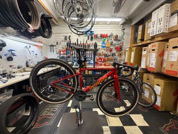 Specialized, Diverge 4 Pro LTD - SRAM RED XPLR 2026