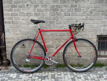 Surly, Pacer Campagnolo Veloce