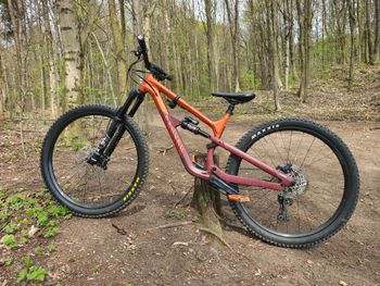 Canyon, Spectral 125 AL 6 2023