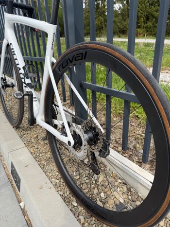 Used Specialized Tarmac SL8 Expert - Shimano Ultegra Di2 2025 2025 Road & Gravel, Blanco — image 16 of 30