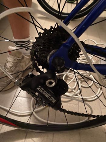 Used Trek 5000 Campagnolo Veloce 2004 Road & Gravel, Blue — image 4 of 4