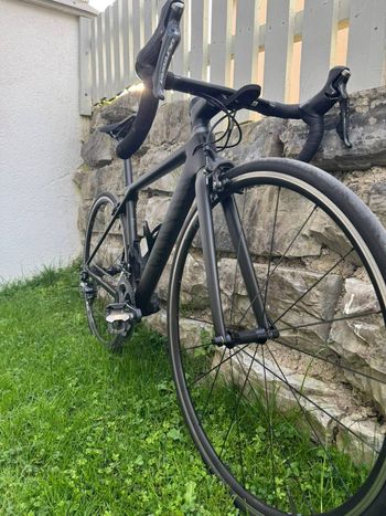 Used Canyon Canyon Ultimate CF SL 8.0 Shimano Ultegra 2020 Road & Gravel, Black — image 12 of 20
