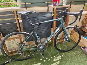 Lapierre, Pulsium SAT 6.0 2022