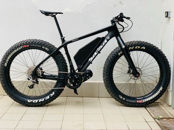 Salsa, Beargrease Carbon X01 Eagle 2019