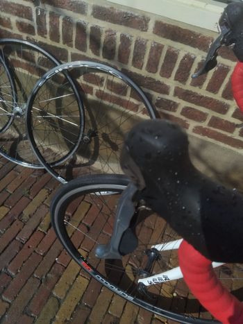 Used reus Reus Custom Shimano 105 2018 Road & Gravel — image 8 of 12