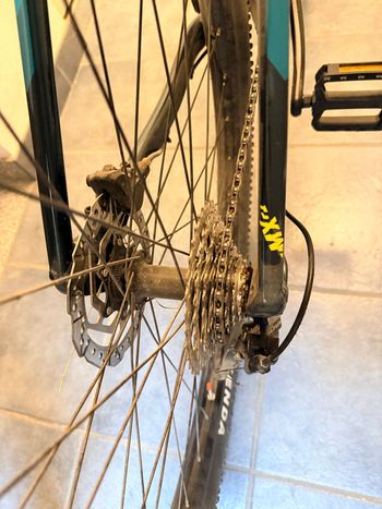 Used Orbea MX 50 27.5 2020 2020 Mountainbike, Green, 27.5 — image 5 of 9