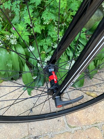 Litespeed, T5 Shimano Ultegra