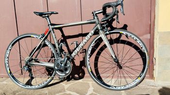 Colnago, COLNAGO C59 Team Edition