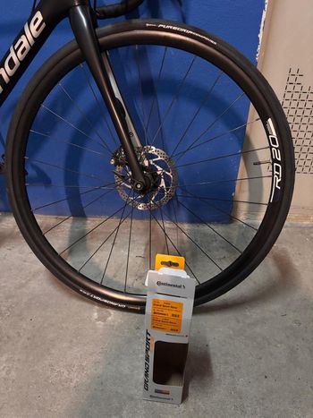 Cannondale, Synapse Carbon Disc 105 SE 2019