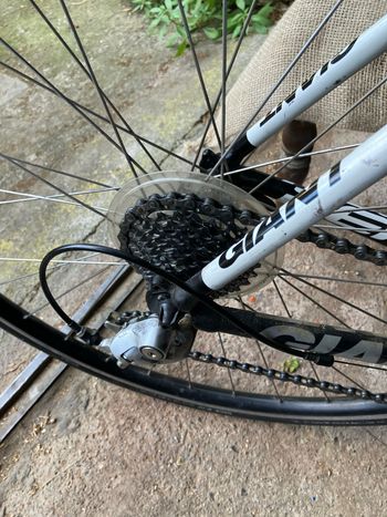 Used Giant Defy 1 2012 2012 Road & Gravel, White — image 4 of 8
