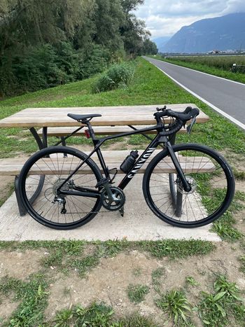 Canyon, Endurace CF 6 2026