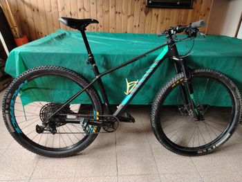 Used Canyon Exceed CF SL 5.0 2020 2020 Mountainbike, Black — image 1 of 8