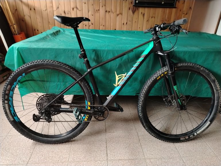 Used Canyon Exceed CF SL 5.0 2020 2020 Mountainbike, Black — image 1 of 8