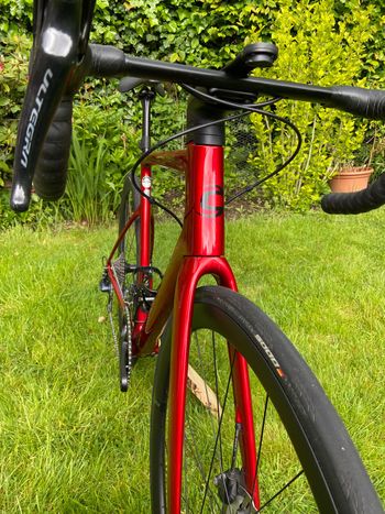 Used canondale Canondale Custom Shimano Ultegra 2022 Road & Gravel — image 12 of 12