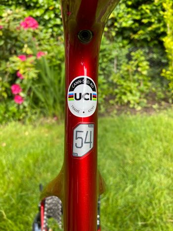 Used canondale Canondale Custom Shimano Ultegra 2022 Road & Gravel — image 4 of 12