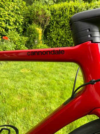 Used canondale Canondale Custom Shimano Ultegra 2022 Road & Gravel — image 2 of 12