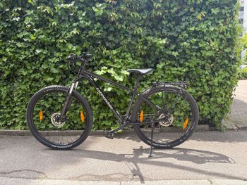 Cannondale, Trail 8 2023