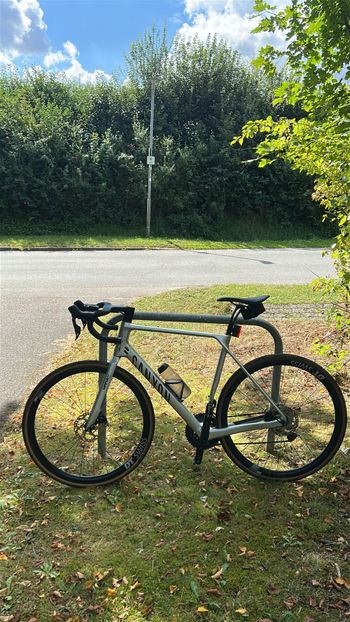 Canyon, Endurace CF 7 Di2 2025
