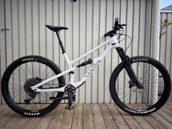 Canyon, Spectral 125 CF 7 2023