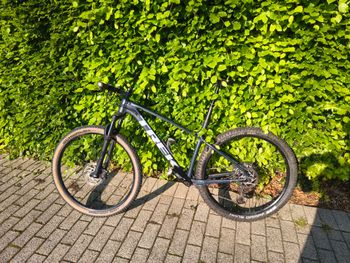 Trek, X-Caliber 9 2021