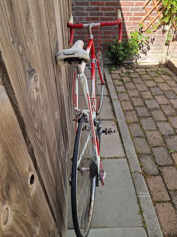 Used Panasonic Panasonic Custom Other Shimano 1985 Road & Gravel — image 3 of 8