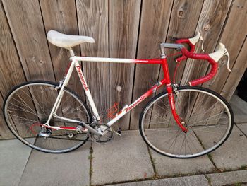 Used Panasonic Panasonic Custom Other Shimano 1985 Road & Gravel