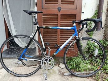 Used Pinarello Galileo Other Campagnolo 1998 Road & Gravel, Blue — image 6 of 7