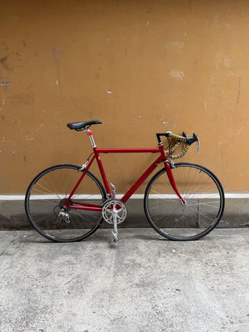 Francesco Moser, Francesco Moser Custom Campagnolo Mirage
