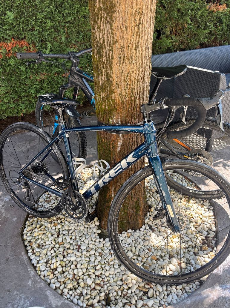 Used Trek Domane Road & Gravel, Black — image 1 of 3