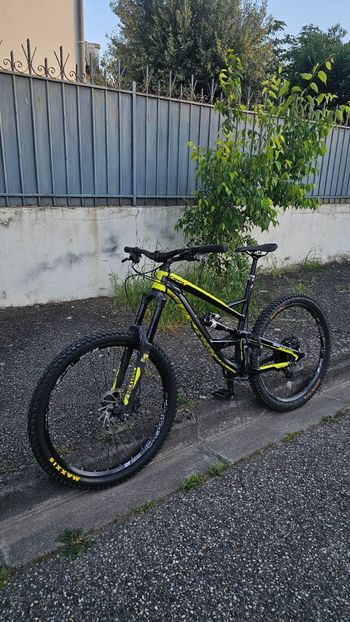 YT, Yt Capra Al 2017