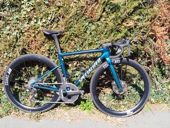 Specialized, Tarmac SL8 Expert - Shimano Ultegra Di2 2025