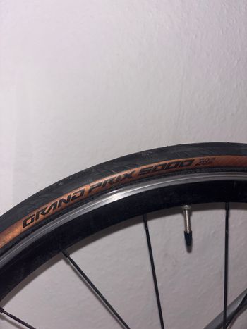 Used Canyon Endurace CF 8.0 Di2 2019 2019 Road & Gravel, Light Gray — image 6 of 7