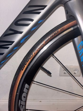 Used Canyon Endurace CF 8.0 Di2 2019 2019 Road & Gravel, Light Gray — image 7 of 7